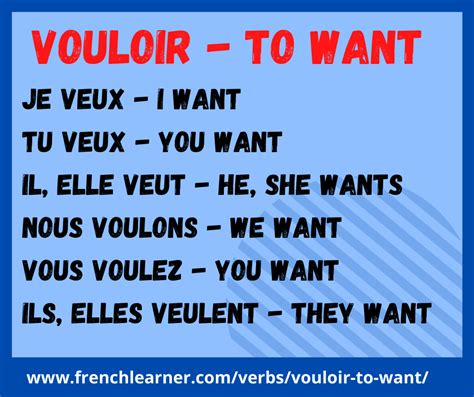 vouloir définition|how to say want french.